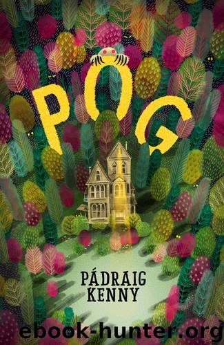 Pog by Padraig Kenny