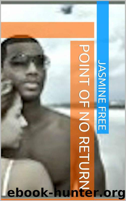 Point of No Return by Jasmine Free
