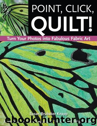 Point, Click, Quilt! Turn Your Photos into Fabulous Fabric Art by Susan Brubaker Knapp