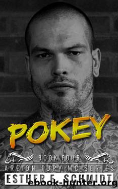 Pokey: Areion Fury MC by Esther E. Schmidt
