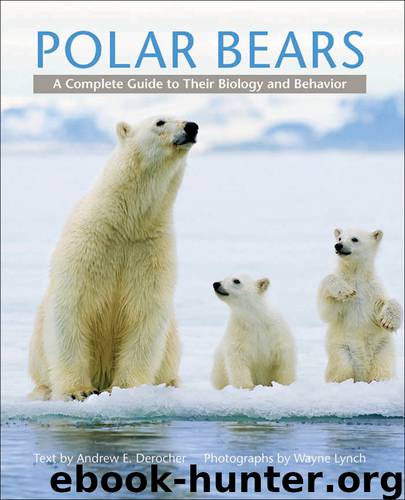 Polar Bears by Andrew E. Derocher