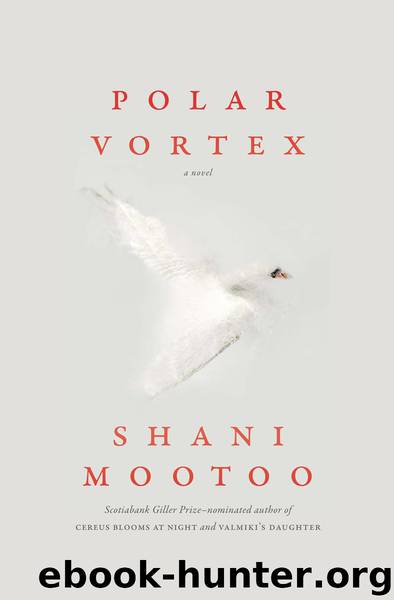 Polar Vortex by Shani Mootoo