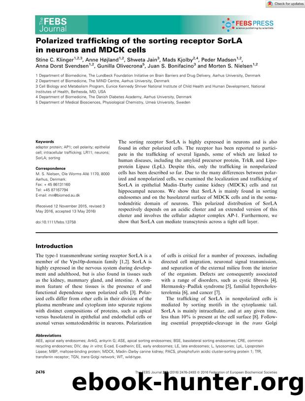 Polarized trafficking of the sorting receptor SorLA in neurons and MDCK cells by Unknown