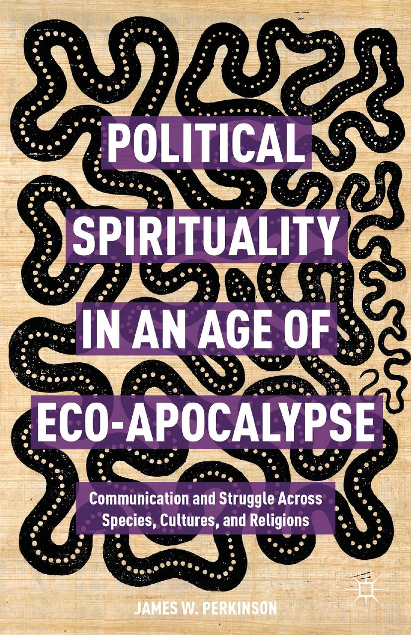 Political Spirituality in an Age of Eco-Apocalypse: Communication and Struggle Across Species, Cultures, and Religions by James W. Perkinson (auth.)