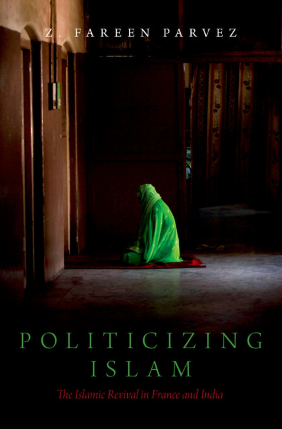 Politicizing Islam: The Islamic Revival in France and India by Z. Fareen Parvez