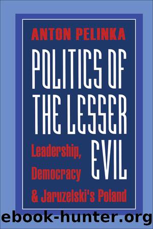 Politics of the Lesser Evil by Anton Pelinka