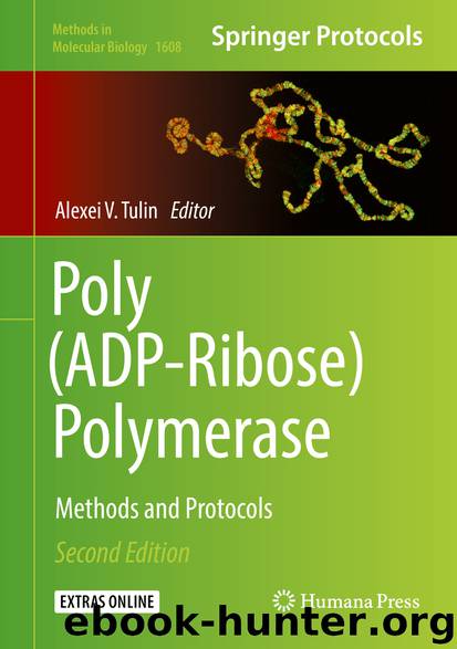 Poly(ADP-Ribose) Polymerase by Alexei V. Tulin
