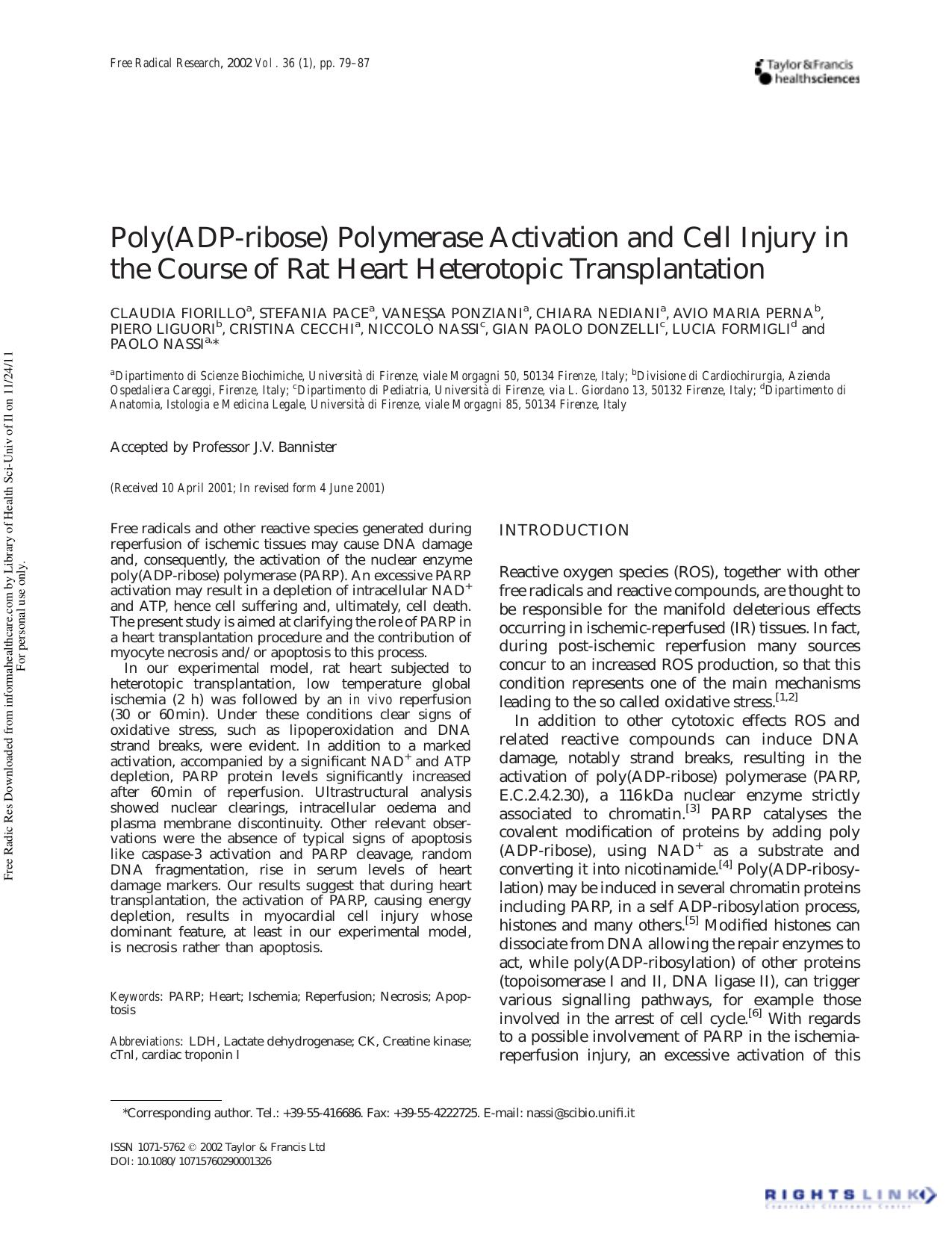 Poly(ADP-ribose) Polymerase Activation and Cell Injury in the Course of Rat Heart Heterotopic Transplantation by unknow