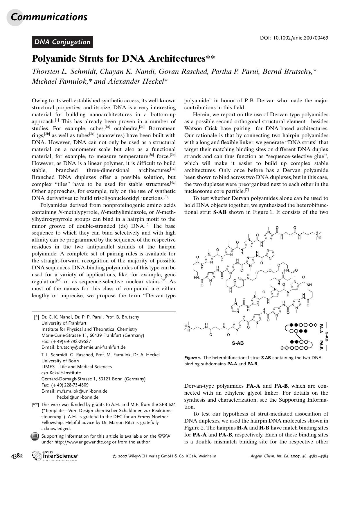 Polyamide Struts for DNA Architectures by Unknown