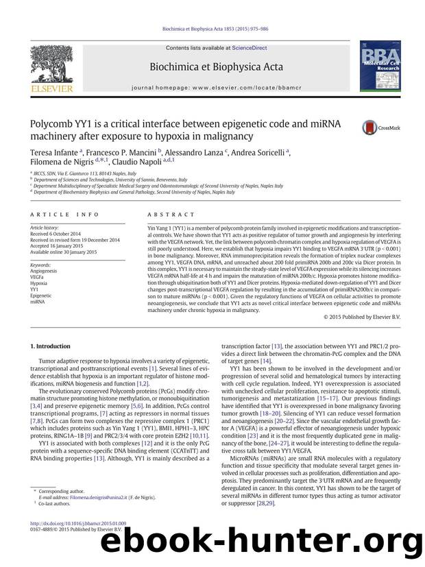 Polycomb YY1 is a critical interface between epigenetic code and miRNA machinery after exposure to hypoxia in malignancy by unknow