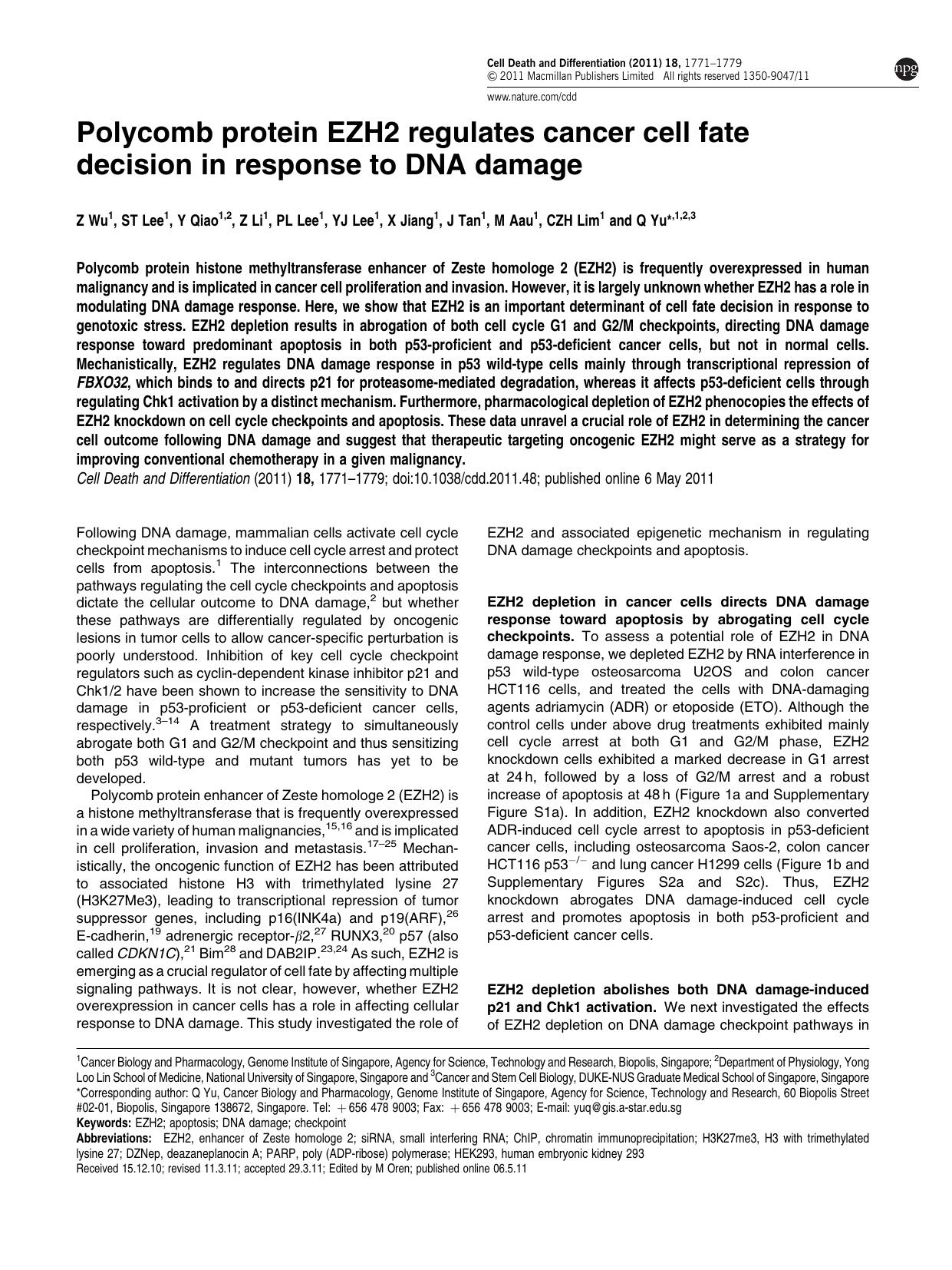 Polycomb protein EZH2 regulates cancer cell fate decision in response to DNA damage by Z Wu & S T Lee & Y Qiao & Z Li & P L Lee & Y J Lee & X Jiang & J Tan & M Aau & C Z H Lim & Q Yu