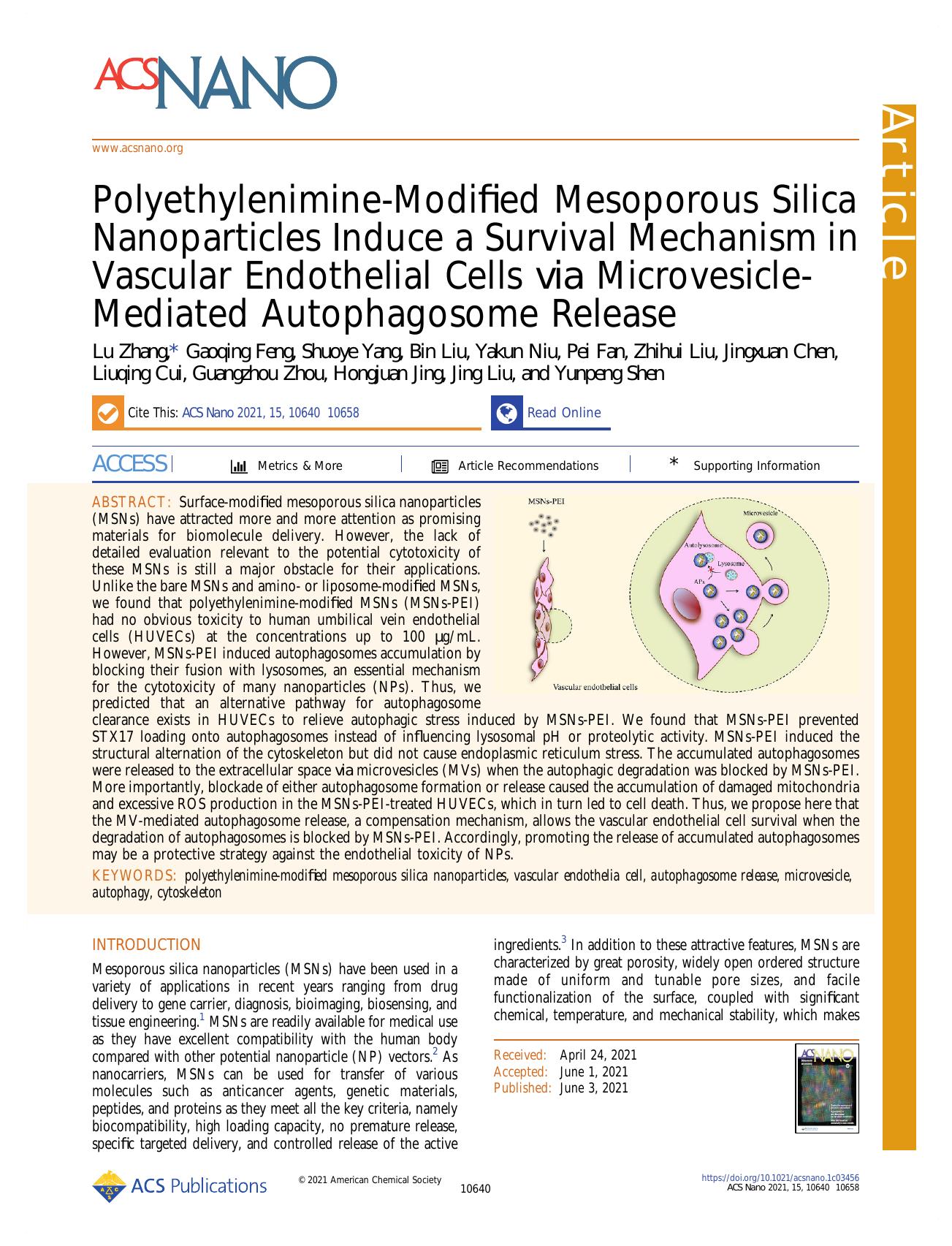Polyethylenimine-Modified Mesoporous Silica Nanoparticles Induce a Survival Mechanism in Vascular Endothelial Cells via Microvesicle-Mediated Autophagosome Release by unknow