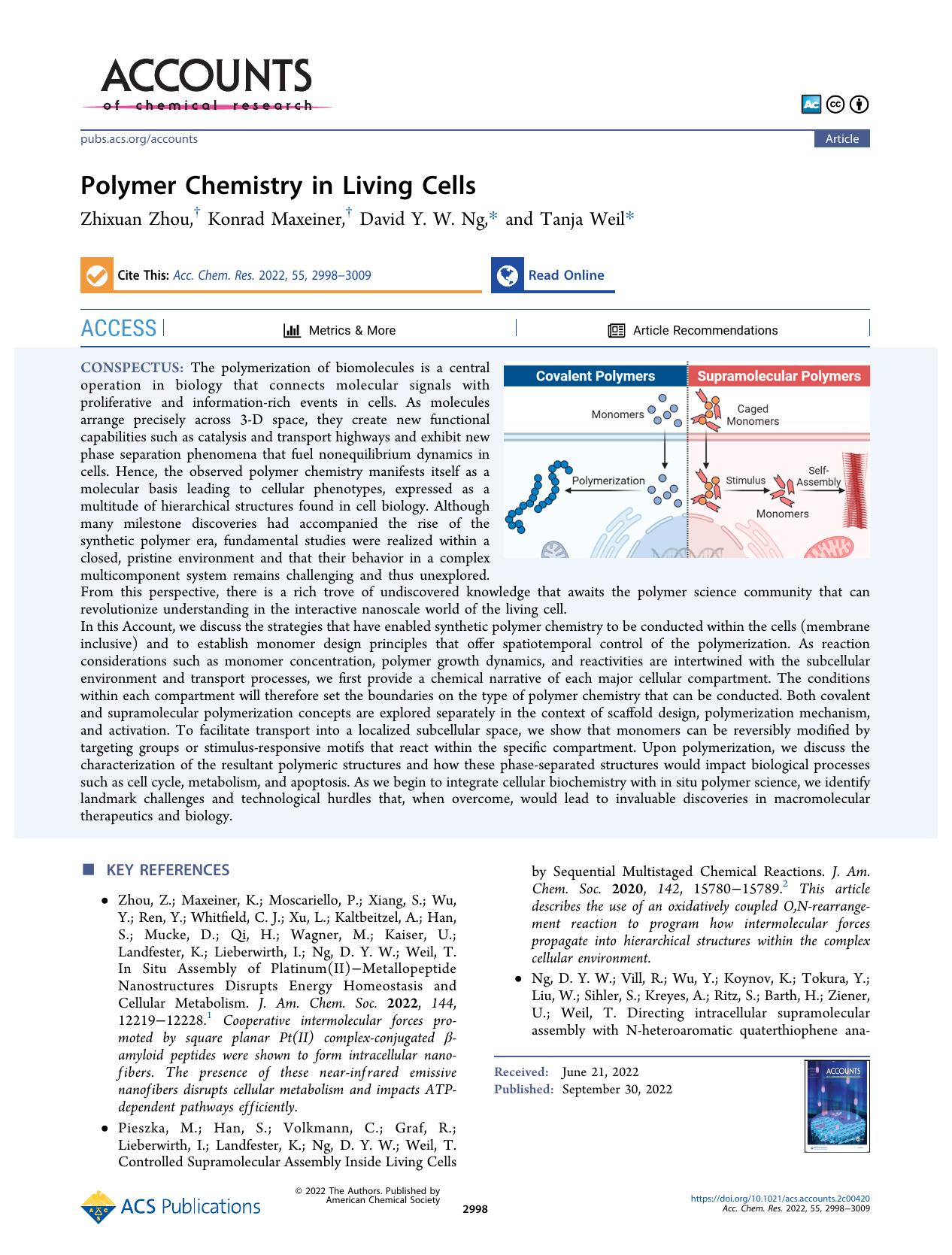 Polymer Chemistry in Living Cells by Zhixuan Zhou Konrad Maxeiner David Y. W. Ng and Tanja Weil
