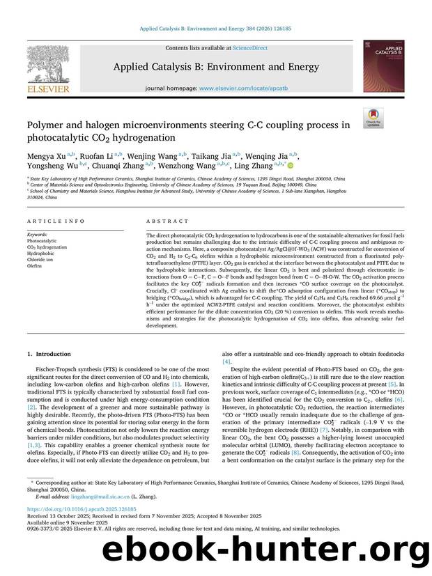 Polymer and halogen microenvironments steering C-C coupling process in photocatalytic CO2 hydrogenation by unknow