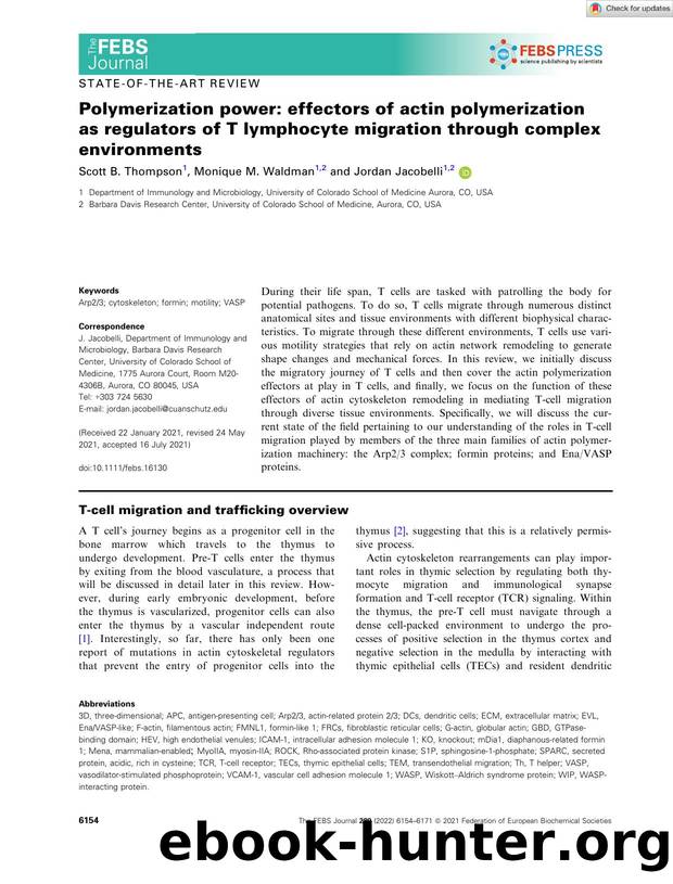 Polymerization power: effectors of actin polymerization asÂ regulators of T lymphocyte migration through complex environments by Unknown