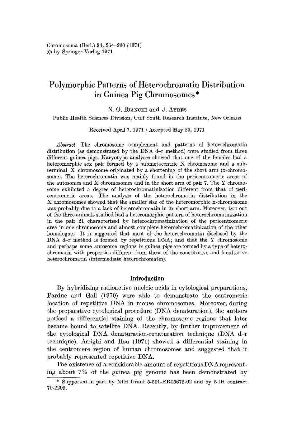 Polymorphic patterns of heterochromatin distribution in guinea pig chromosomes by Unknown