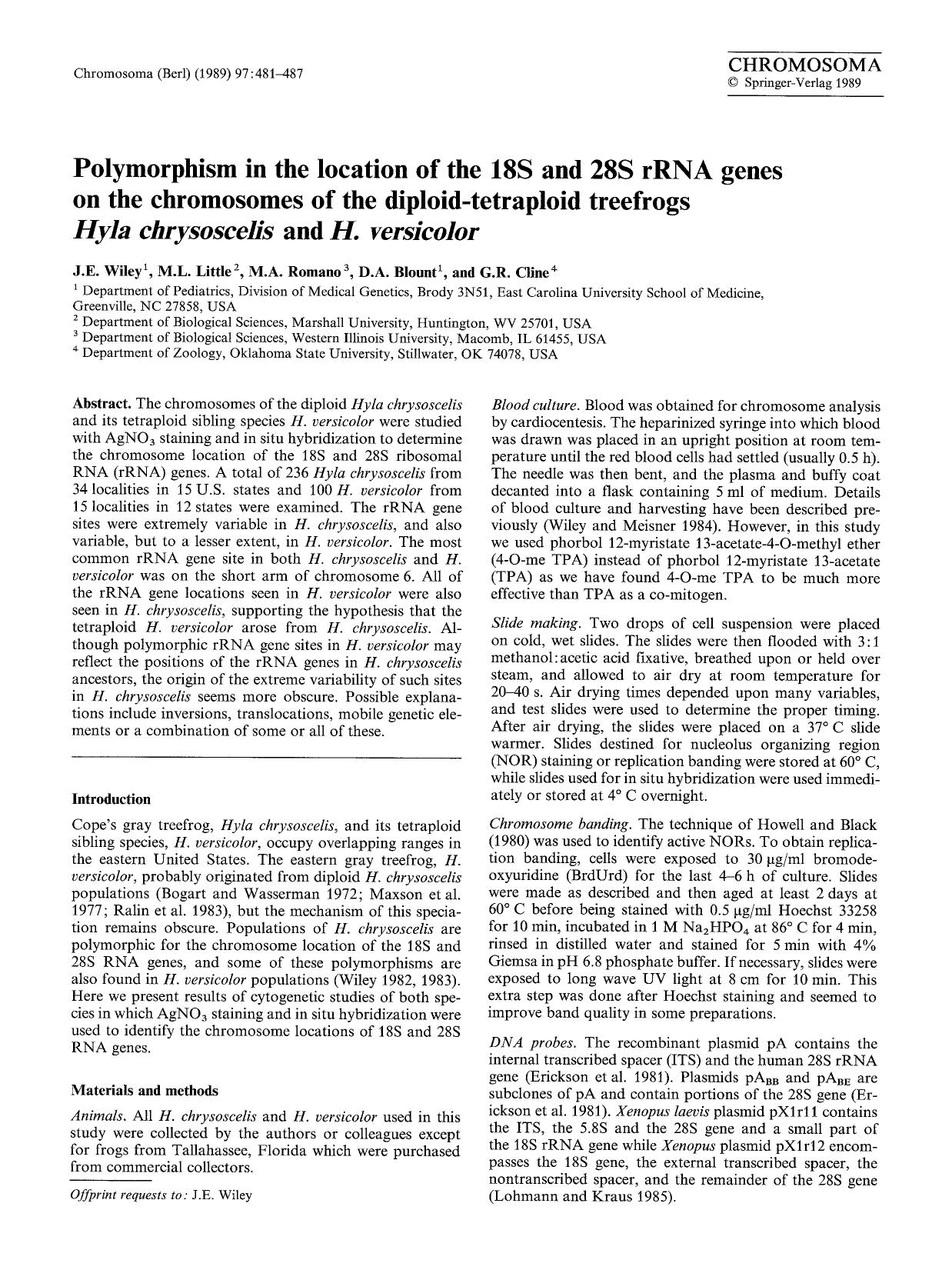 Polymorphism in the location of the 18S and 28S rRNA genes on the chromosomes of the diploid-tetraploid treefrogs <Emphasis Type="Italic">Hyla chrysoscelis<Emphasis> and <Emphasis  by Unknown