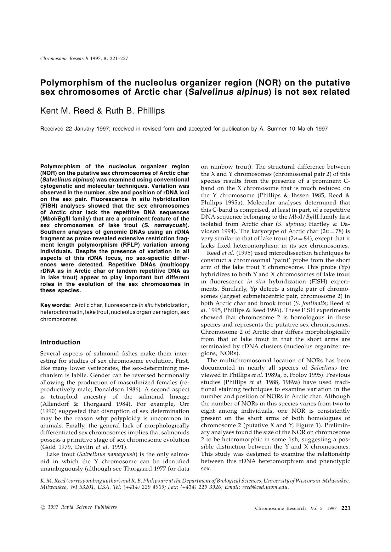 Polymorphism of the nucleolus organizer region (NOR) on the putative sex chromosomes of Arctic char (Salvelinus alpinus) is not sex related by Unknown
