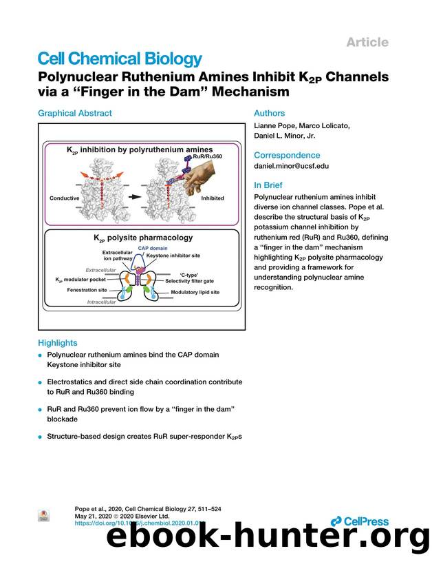 Polynuclear Ruthenium Amines Inhibit K2P Channels via a “Finger in the Dam” Mechanism by Lianne Pope & Marco Lolicato & Daniel L. Minor Jr