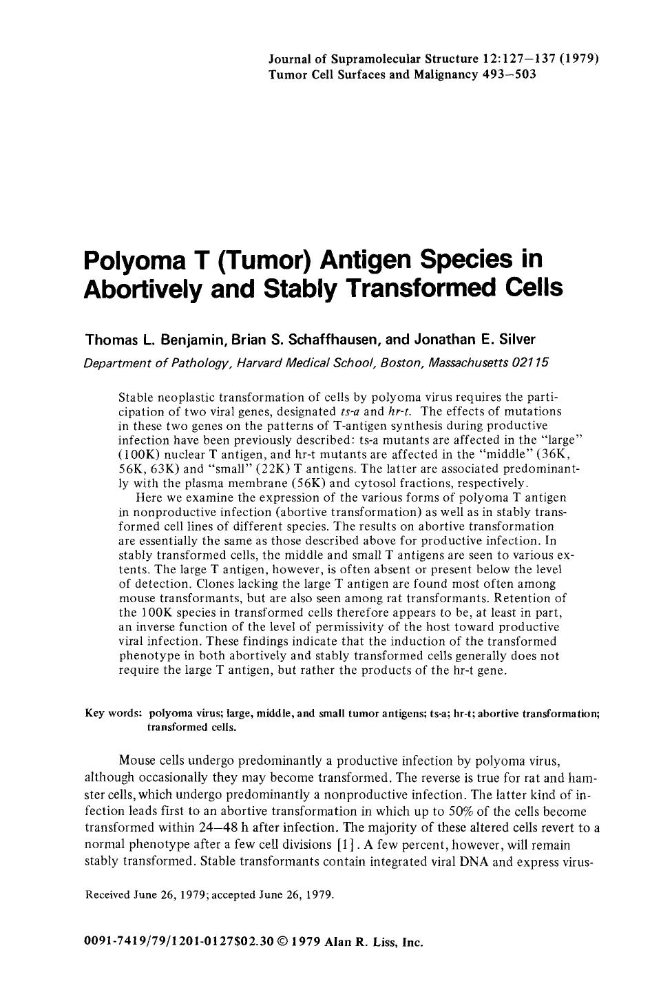 Polyoma T (tumor) antigen species in abortively and stably transformed cells by Unknown