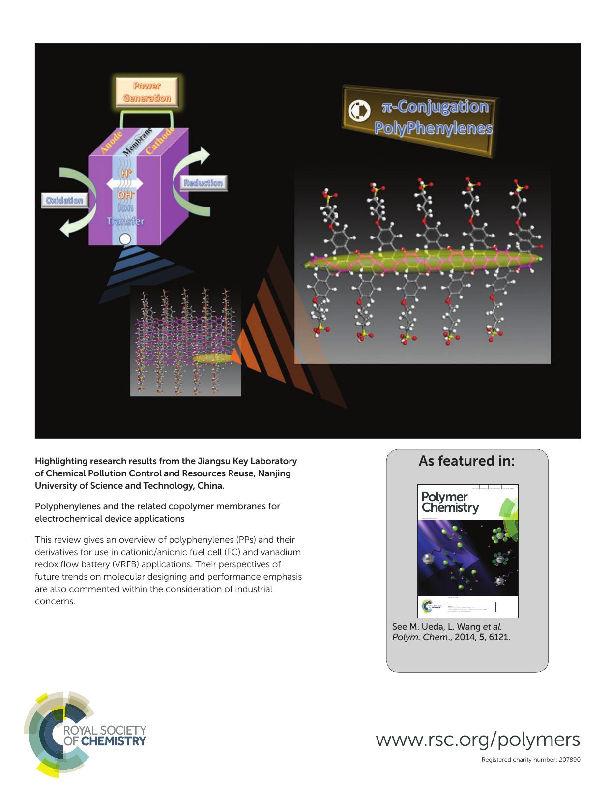 Polyphenylenes and the related copolymer membranes for electrochemical device applications by X. Zhang T. Higashihara M. Ueda L. Wang