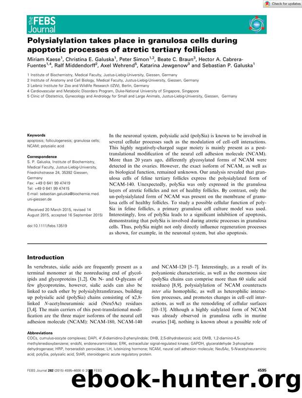 Polysialylation takes place in granulosa cells during apoptotic processes of atretic tertiary follicles by Unknown
