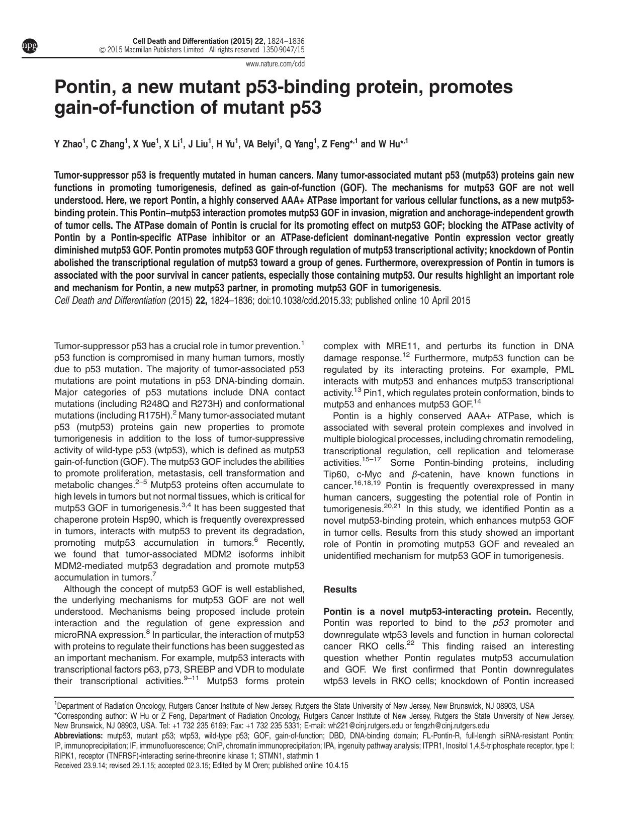 Pontin, a new mutant p53-binding protein, promotes gain-of-function of mutant p53 by Y Zhao & C Zhang & X Yue & X Li & J Liu & H Yu & V A Belyi & Q Yang & Z Feng & W Hu &