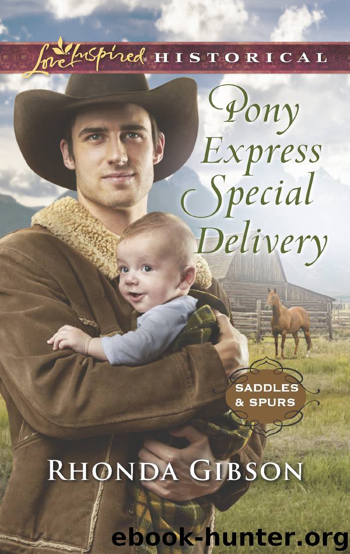 Pony Express Special Delivery by Rhonda Gibson