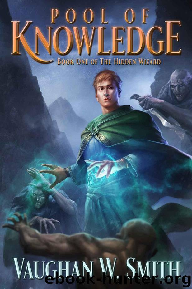 Pool of Knowledge (The Hidden Wizard Book 1) by Smith Vaughan W
