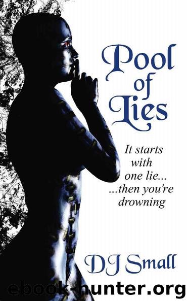 Pool of Lies: All Lies Have Consequences... by Small DJ