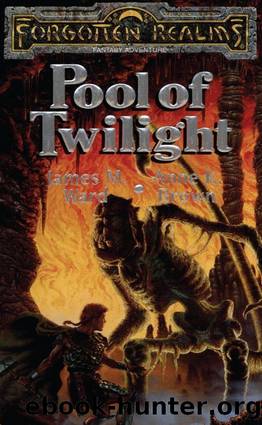 Pool of Twilight (The Heroes of Phlan) by James M. Ward & Anne K. Brown