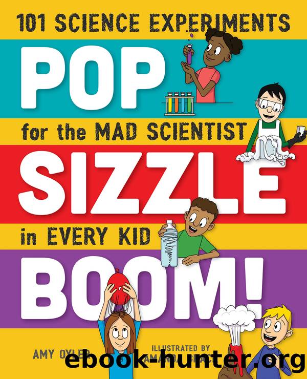 Pop, Sizzle, Boom! by Amy Oyler