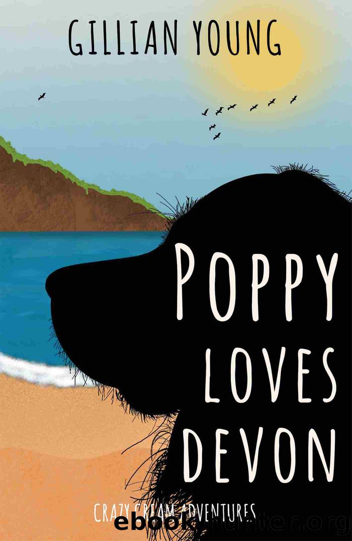 Poppy Loves Devon by Gillian Young