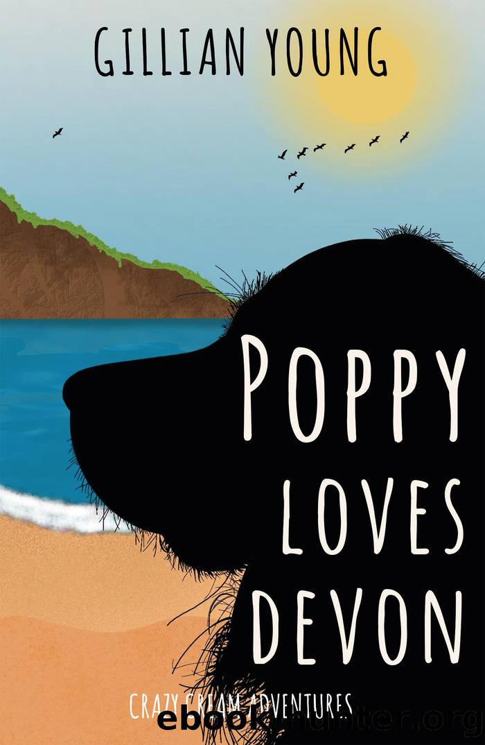 Poppy Loves Devon: Crazy Cream Adventures by Gillian Young