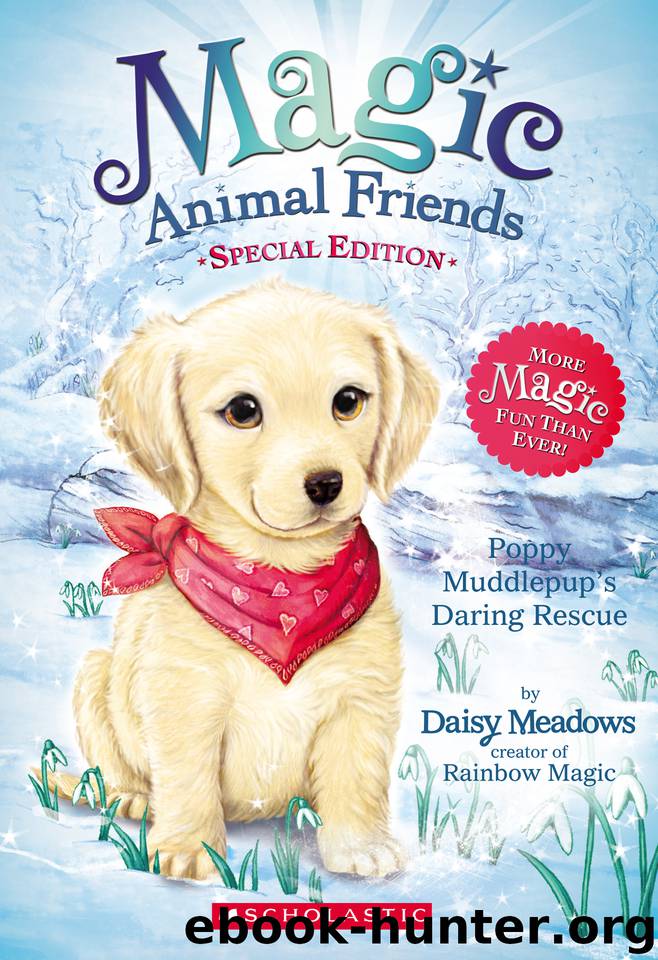 Poppy Muddlepup's Daring Rescue by Daisy Meadows