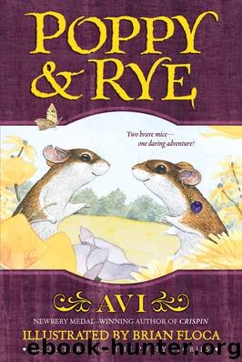 Poppy and Rye by Avi