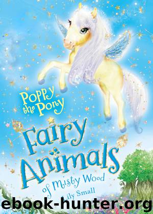 Poppy the Pony by Lily Small