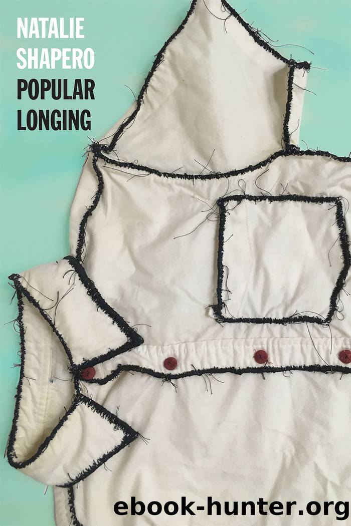 Popular Longing by Natalie Shapero