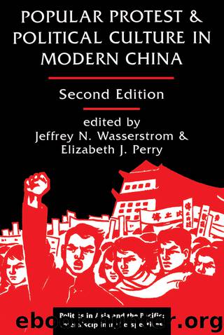 Popular Protest and Political Culture in Modern China by Wasserstrom Jeffrey N.; Perry Elizabeth J.; & Elizabeth J. Perry