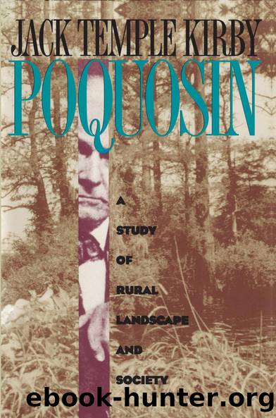 Poquosin by Jack Temple Kirby