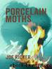 Porcelain Moths by Joe Ricker