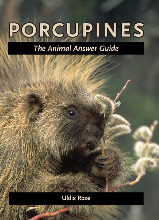 Porcupines: The Animal Answer Guide by Uldis Roze