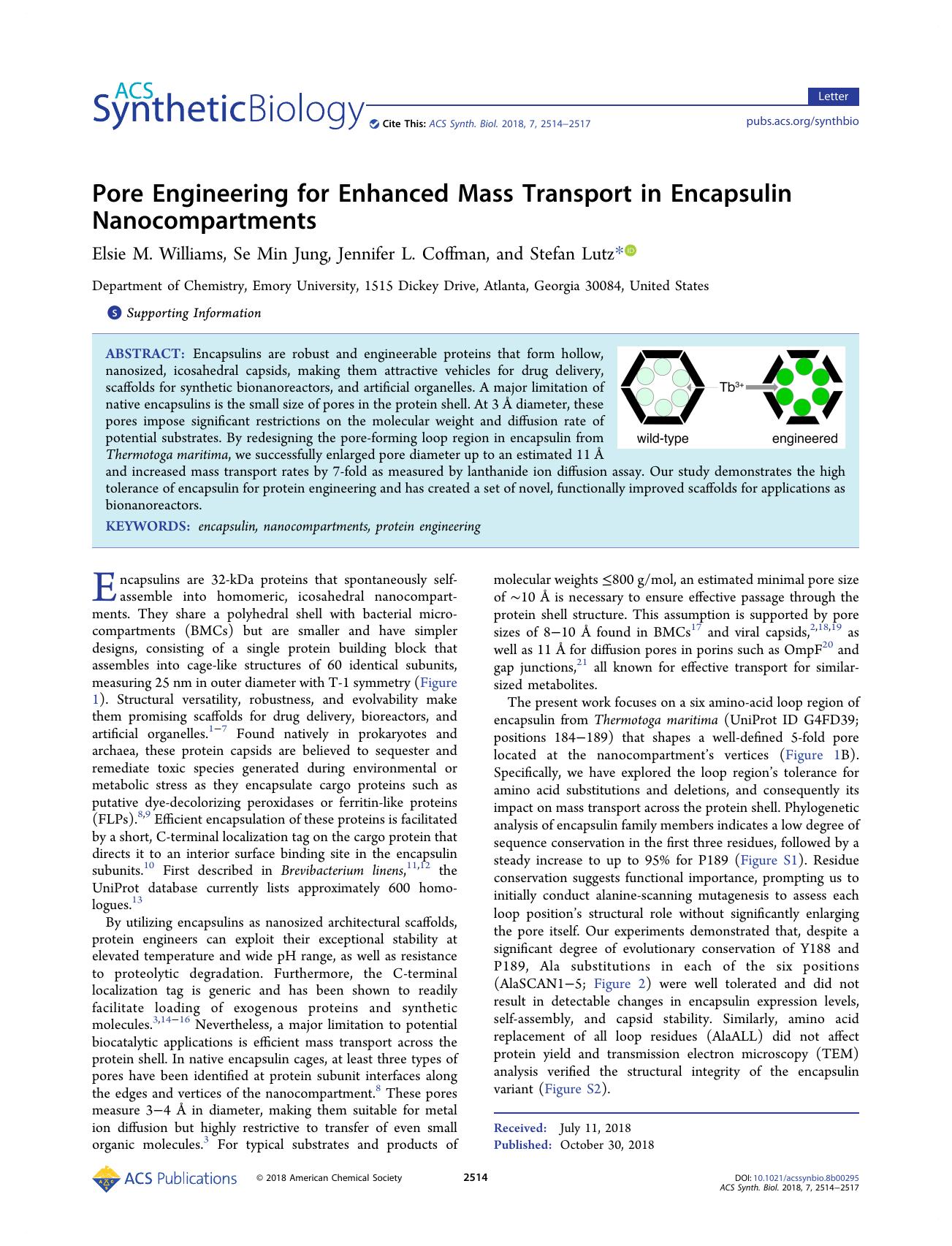 Pore Engineering for Enhanced Mass Transport in Encapsulin Nanocompartments by Elsie M. Williams Se Min Jung Jennifer L. Coffman and Stefan Lutz