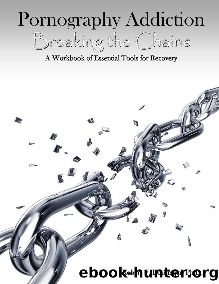 Pornography Addiction Breaking the Chains: A Workbook of Essential Tools for Recovery by Dindinger PhD. Robert V