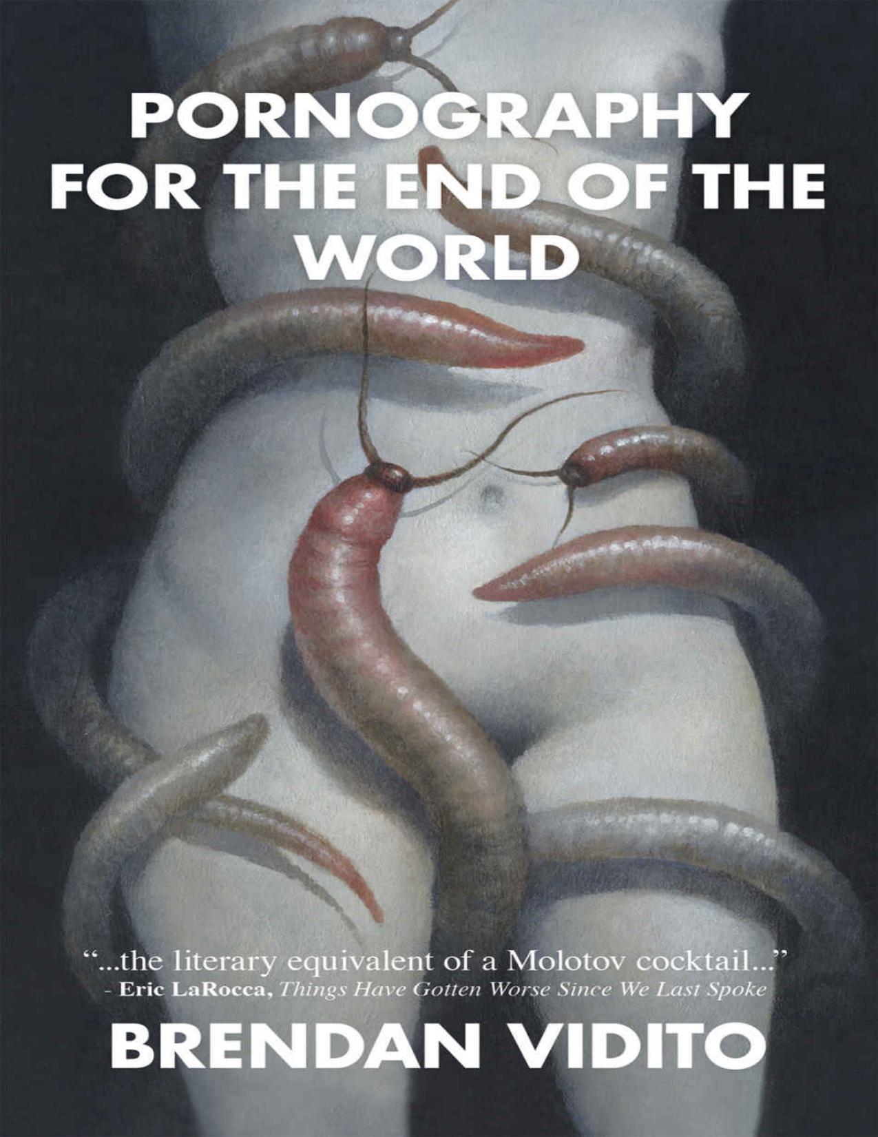 Pornography for the End of the World by Brendan Vidito