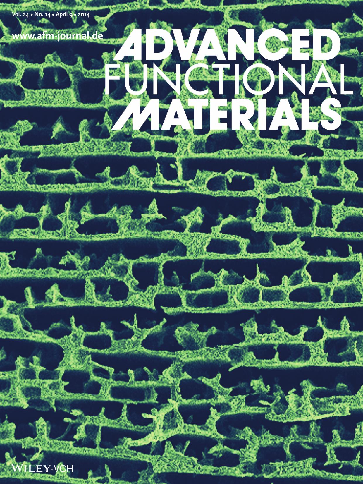 Porous Scaffolds: Bioinspired Scaffolds with Varying Pore Architectures and Mechanical Properties (Adv. Funct. Mater. 142014) by f-w-209