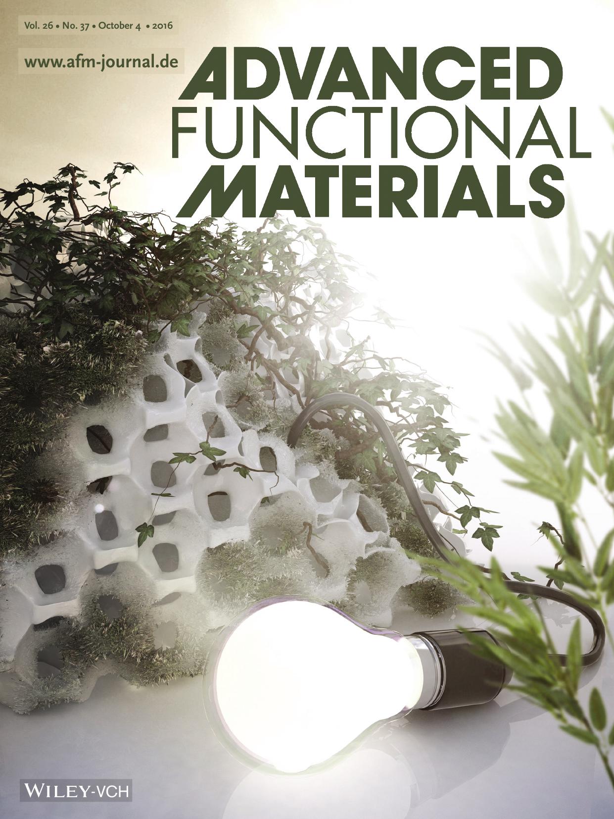 Porous Transparent Conductors: Nanostructured Antimony‐Doped Tin Oxide Layers with Tunable Pore Architectures as Versatile Transparent Current Collectors for Biophotovoltai by Unknown