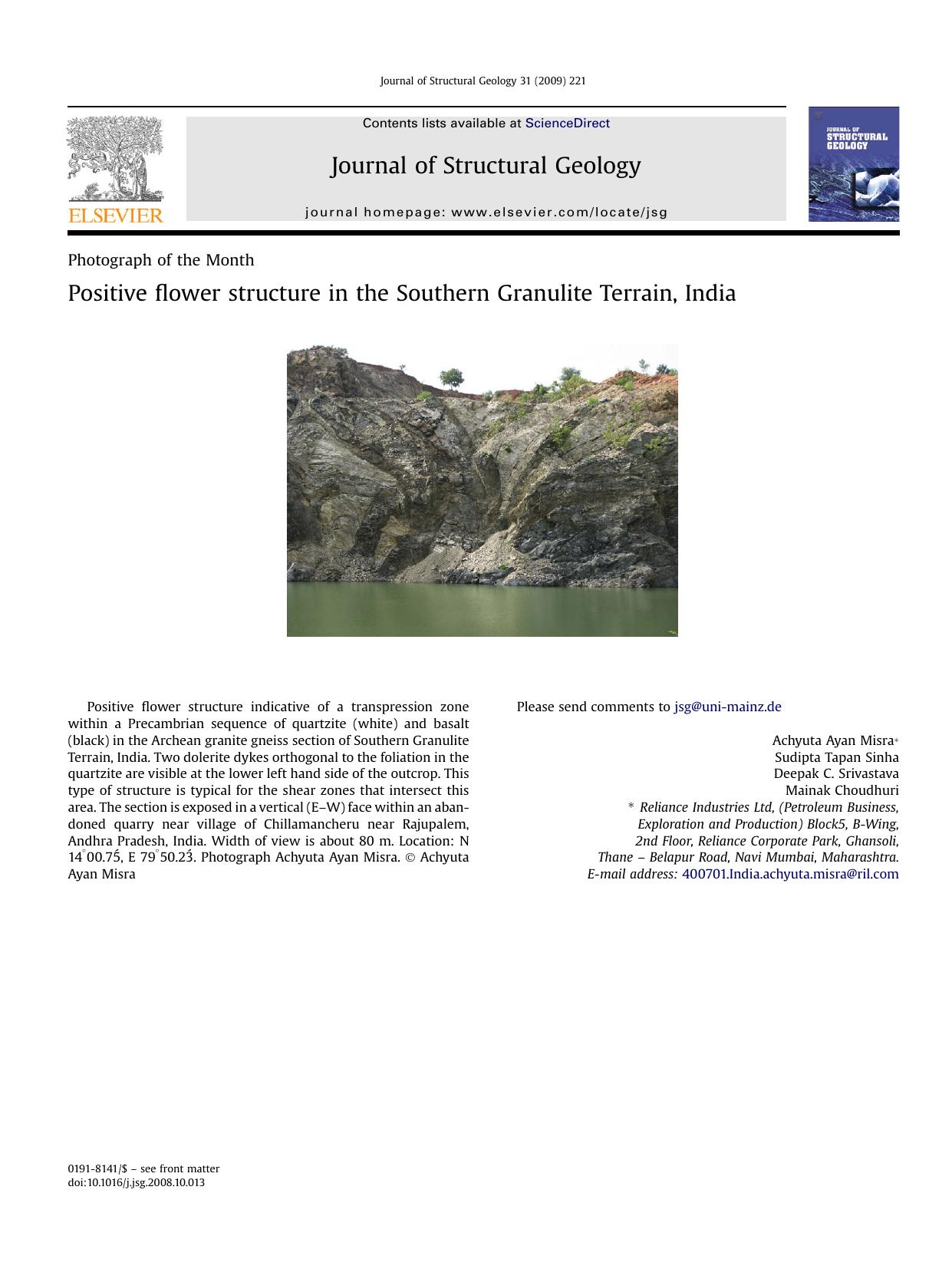 Positive flower structure in the Southern Granulite Terrain, India by Achyuta Ayan Misra; Sudipta Tapan Sinha; Deepak C. Srivastava; Mainak Choudhuri