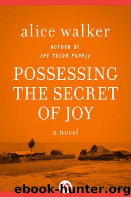 Possessing the Secret of Joy A Novel by Alice Walker