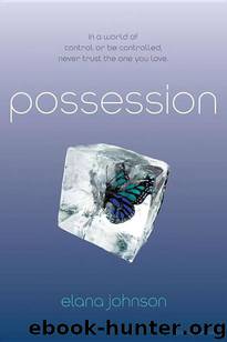 Possession by Elana Johnson